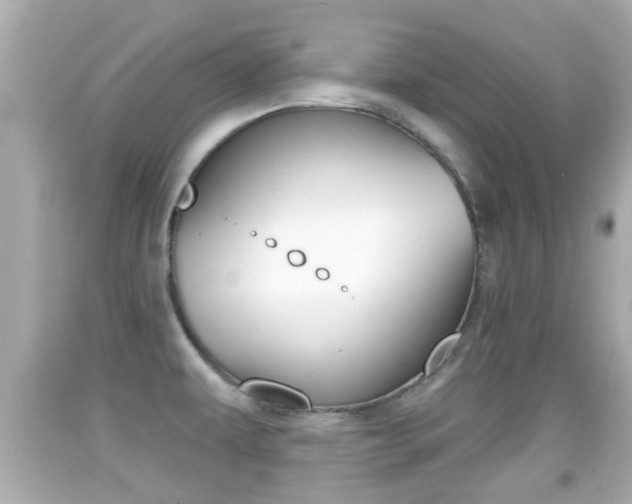 X0000092041479200709120955