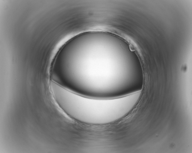 X0000092041480200709120955