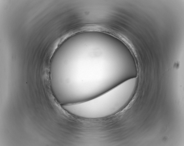 X0000092041481200709120955