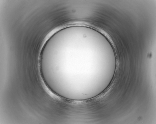 X0000092041482200709120955
