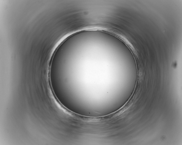 X0000092041484200709120955