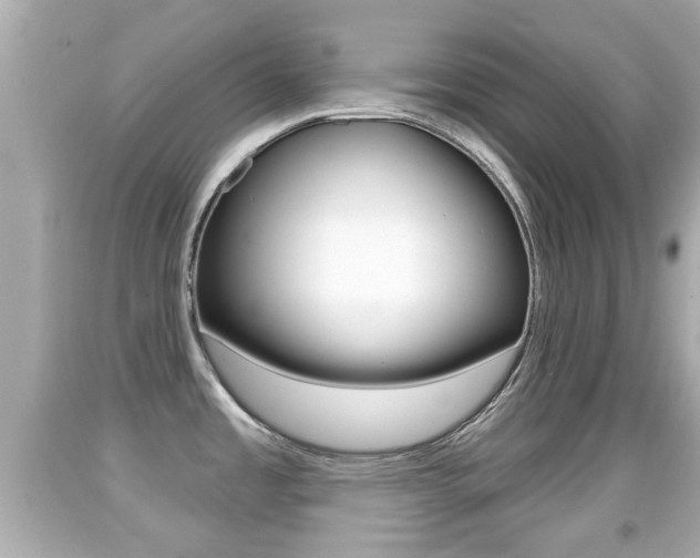X0000092041485200709120955