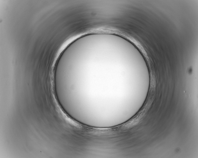 X0000092041486200709120955