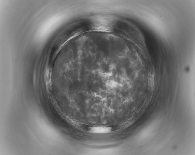 X0000092041487200709120955