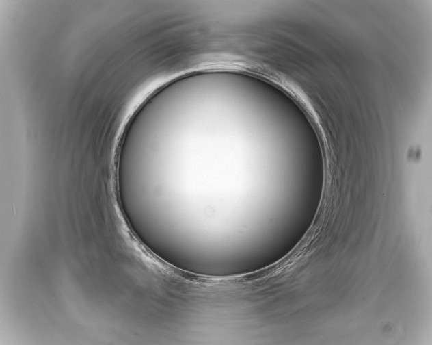 X0000092041488200709120955