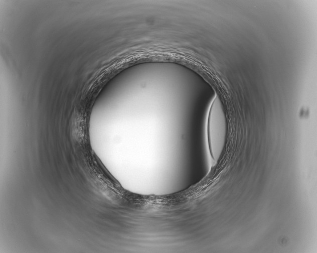 X0000092041490200709120954
