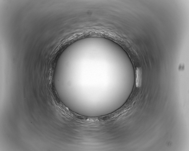 X0000092041491200709120954