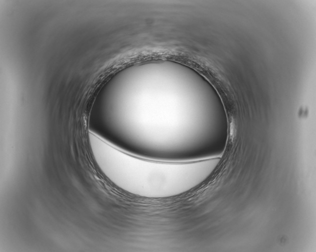 X0000092041492200709120954