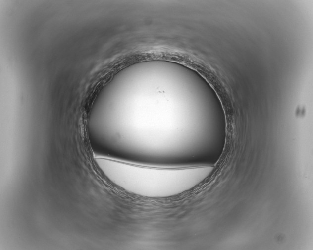 X0000092041493200709120954