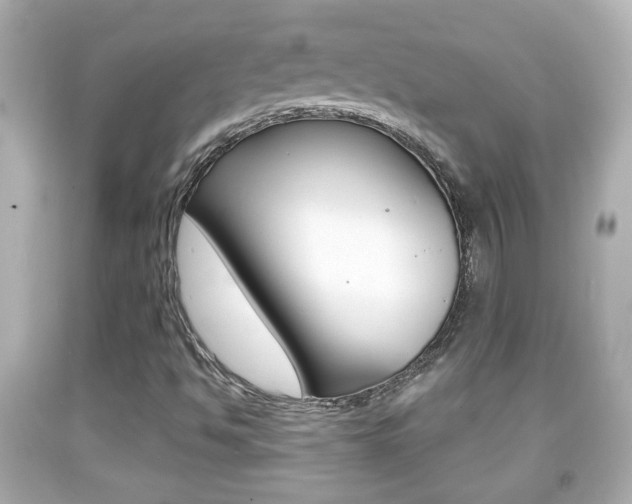 X0000092041494200709120954