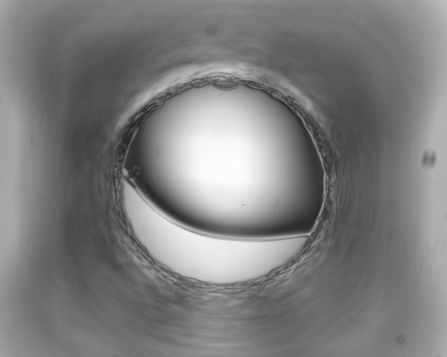 X0000092041496200709120954