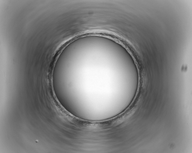 X0000092041497200709120954