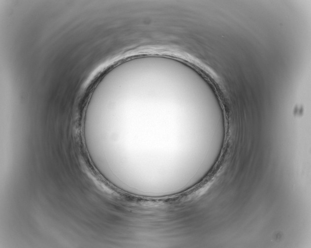 X0000092041498200709120954