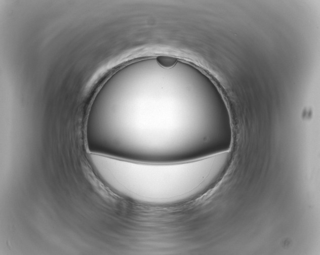 X0000092041499200709120954