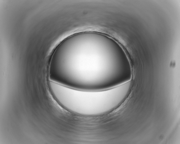 X0000092041500200709120954