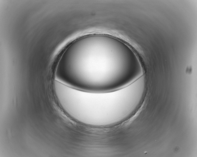 X0000092041502200709120954