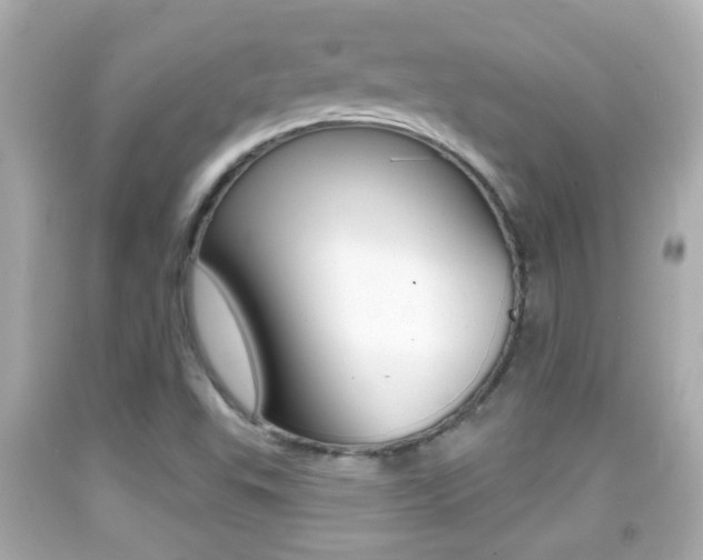 X0000092041503200709120954