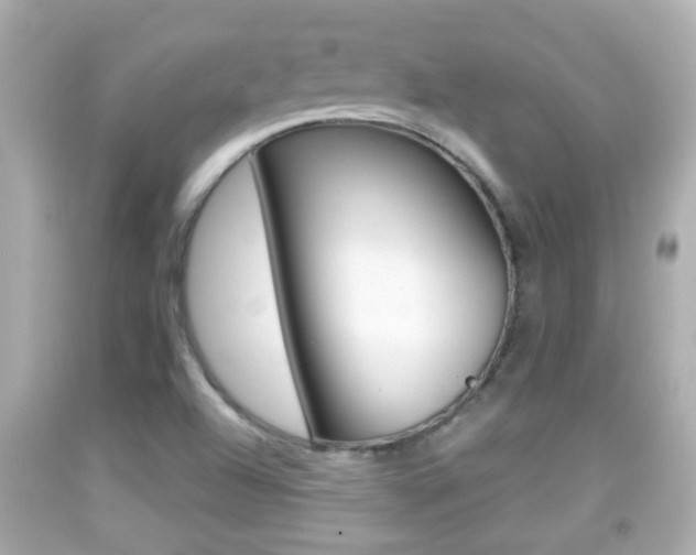 X0000092041504200709120954