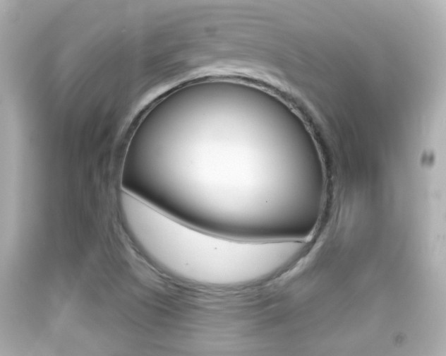 X0000092041505200709120955