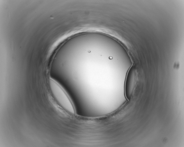 X0000092041507200709120955