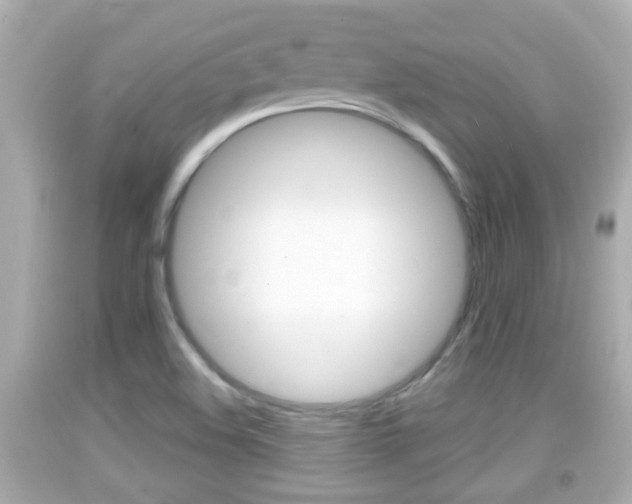 X0000092041508200709120955