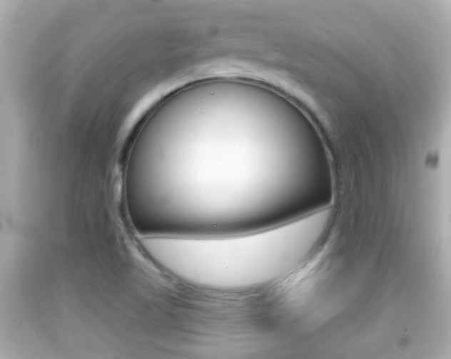 X0000092041509200709120955