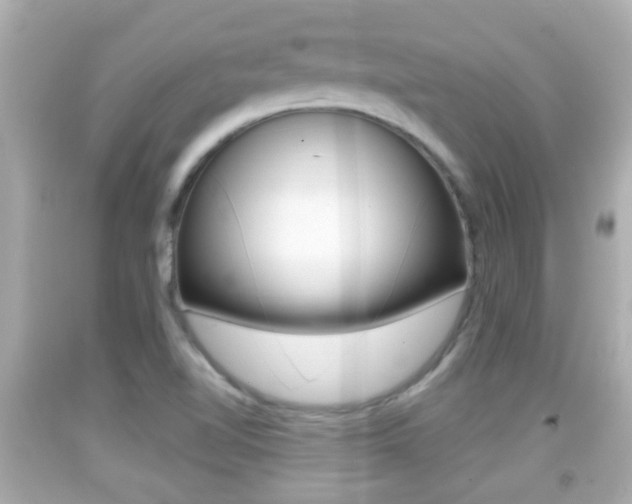 X0000092041510200709120955