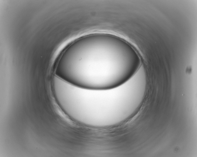 X0000092041511200709120955