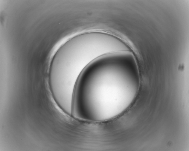 X0000092041512200709120955