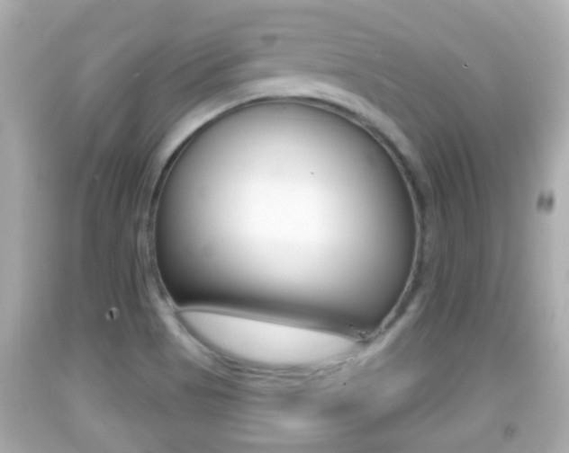 X0000092041513200709120955