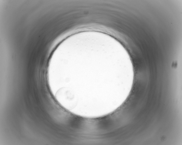 X0000092041514200709120955