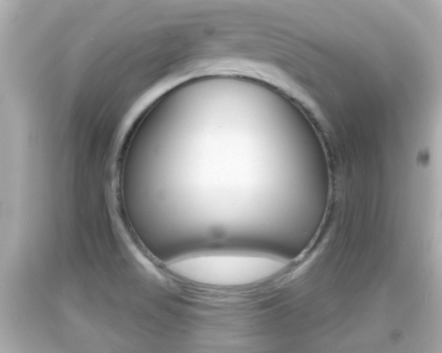 X0000092041517200709120955