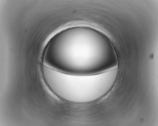 X0000092041518200709120955