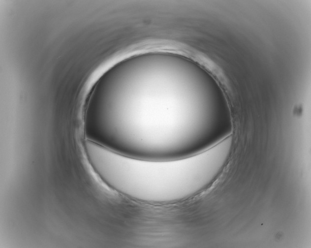 X0000092041520200709120955