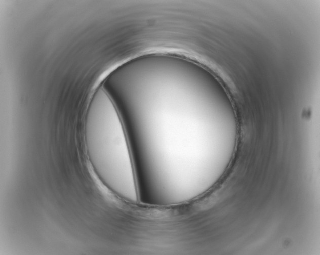 X0000092041521200709120955