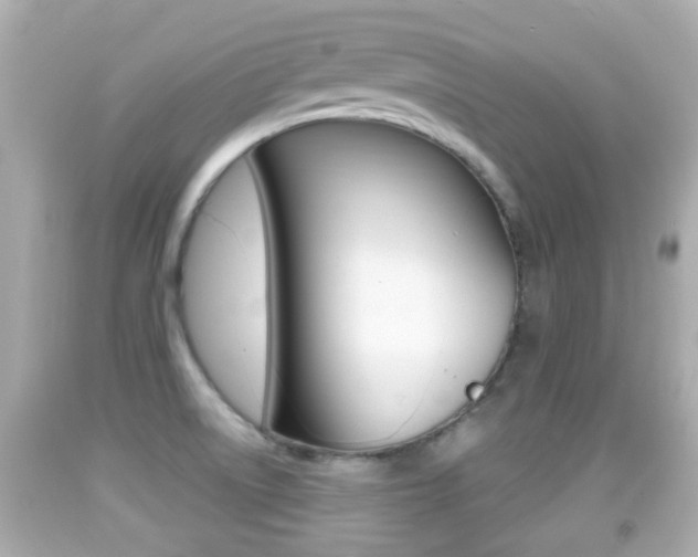 X0000092041522200709120955