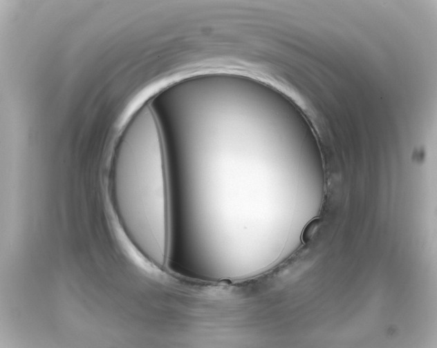 X0000092041523200709120955