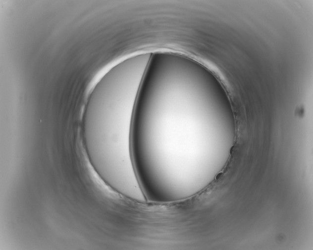 X0000092041524200709120955