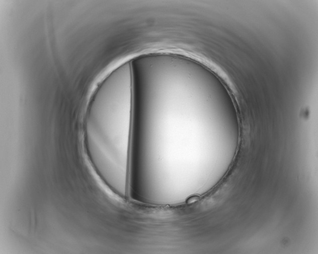 X0000092041525200709120955