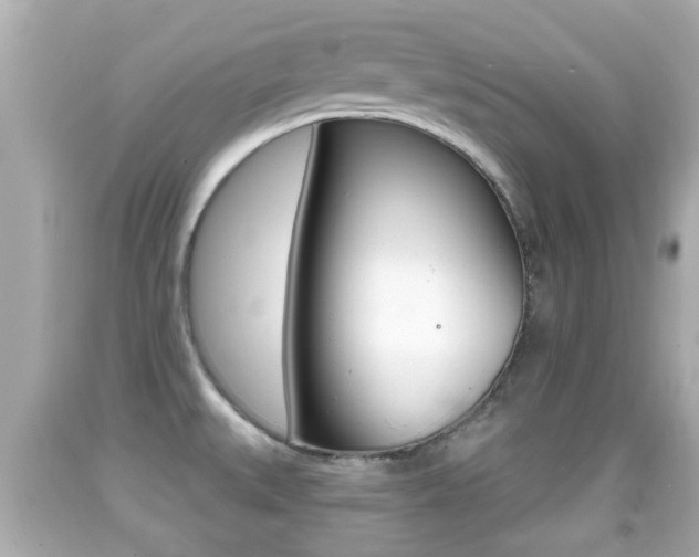 X0000092041527200709120955