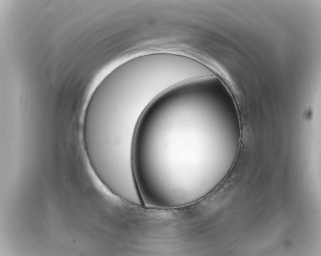 X0000092041528200709120955