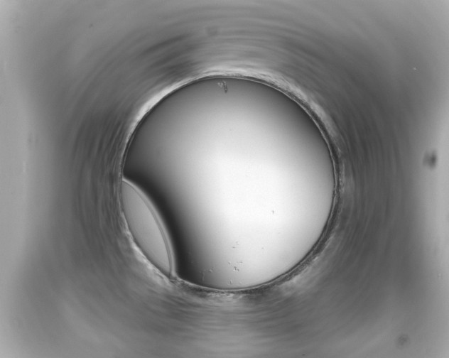 X0000092041529200709120955