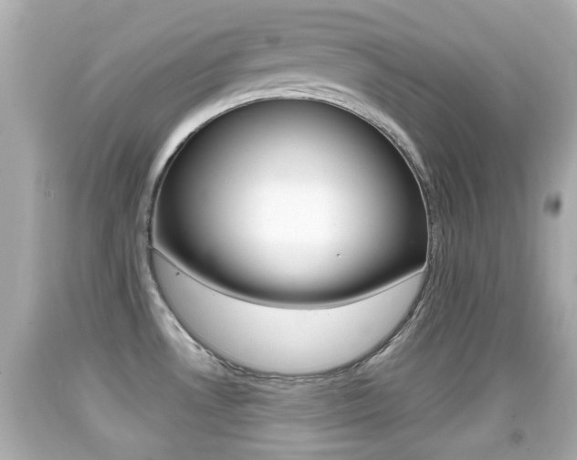 X0000092041530200709120955