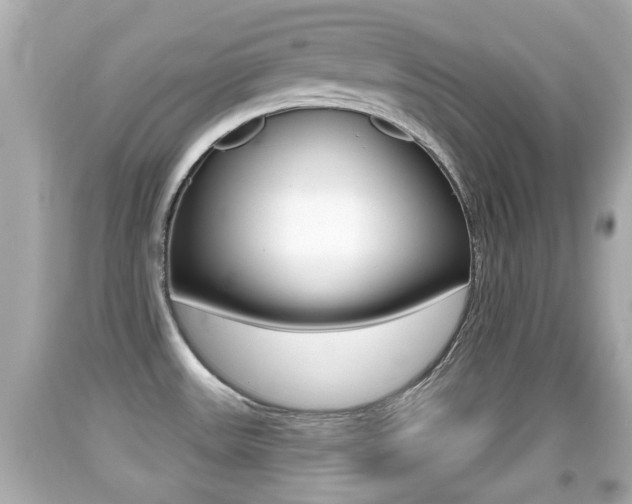 X0000092041531200709120955