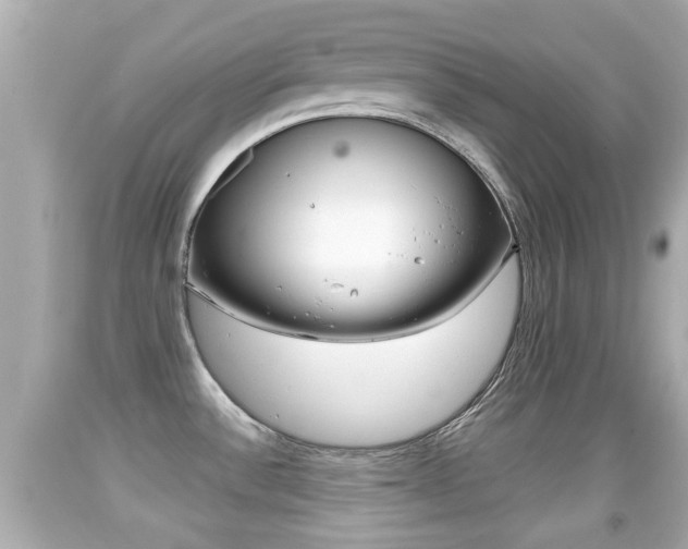 X0000092041532200709120955