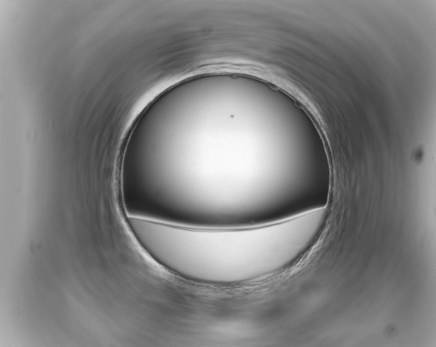 X0000092041533200709120955