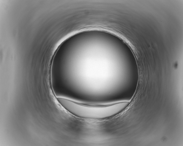 X0000092041534200709120955