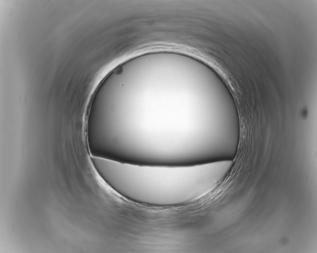 X0000092041535200709120955