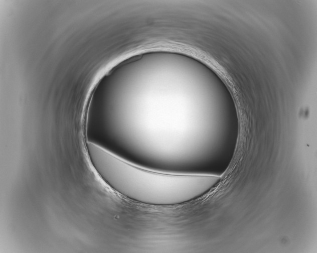 X0000092041536200709120955