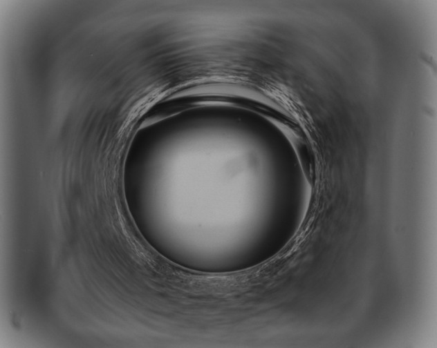 X0000092040001200709121202